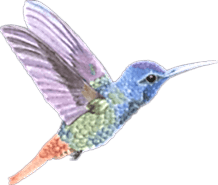 Danışanlarımız Ne Dediler?